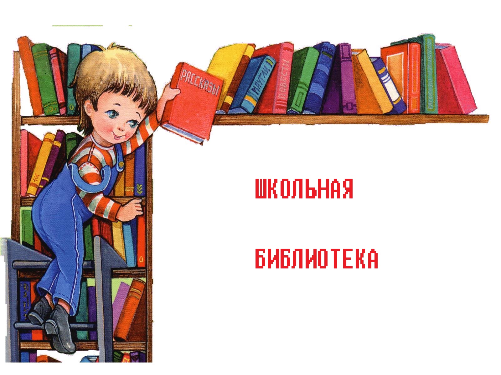 О школьной библиотеке
